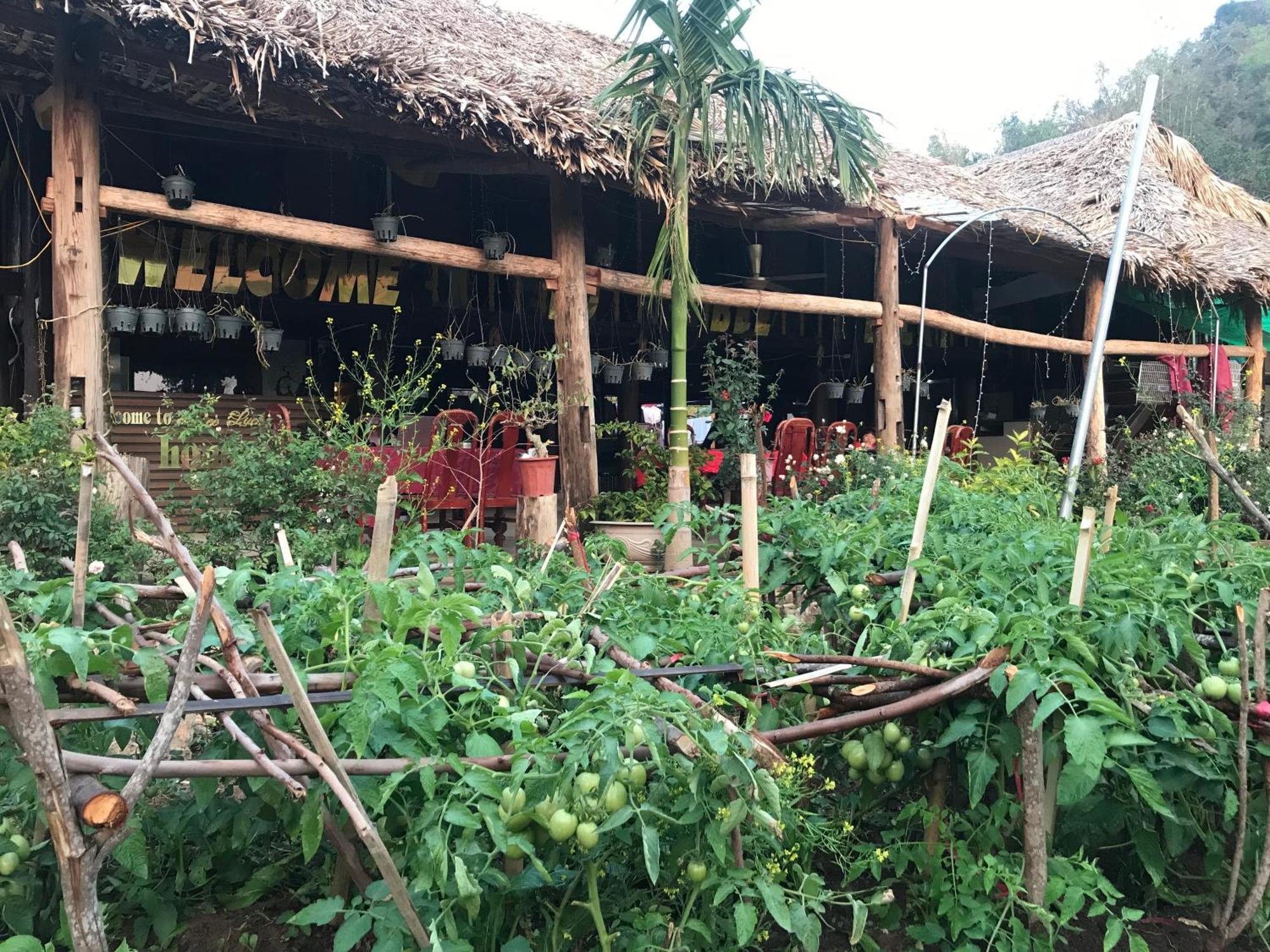 Bee Lucky Homestay Hien Hao Exterior foto
